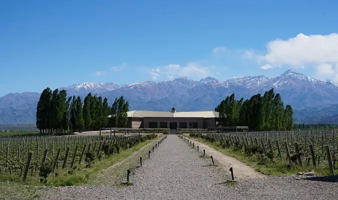 Best Tours in Mendoza and Surroundings